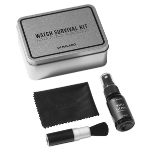 Watch Cleaning Survival Kit